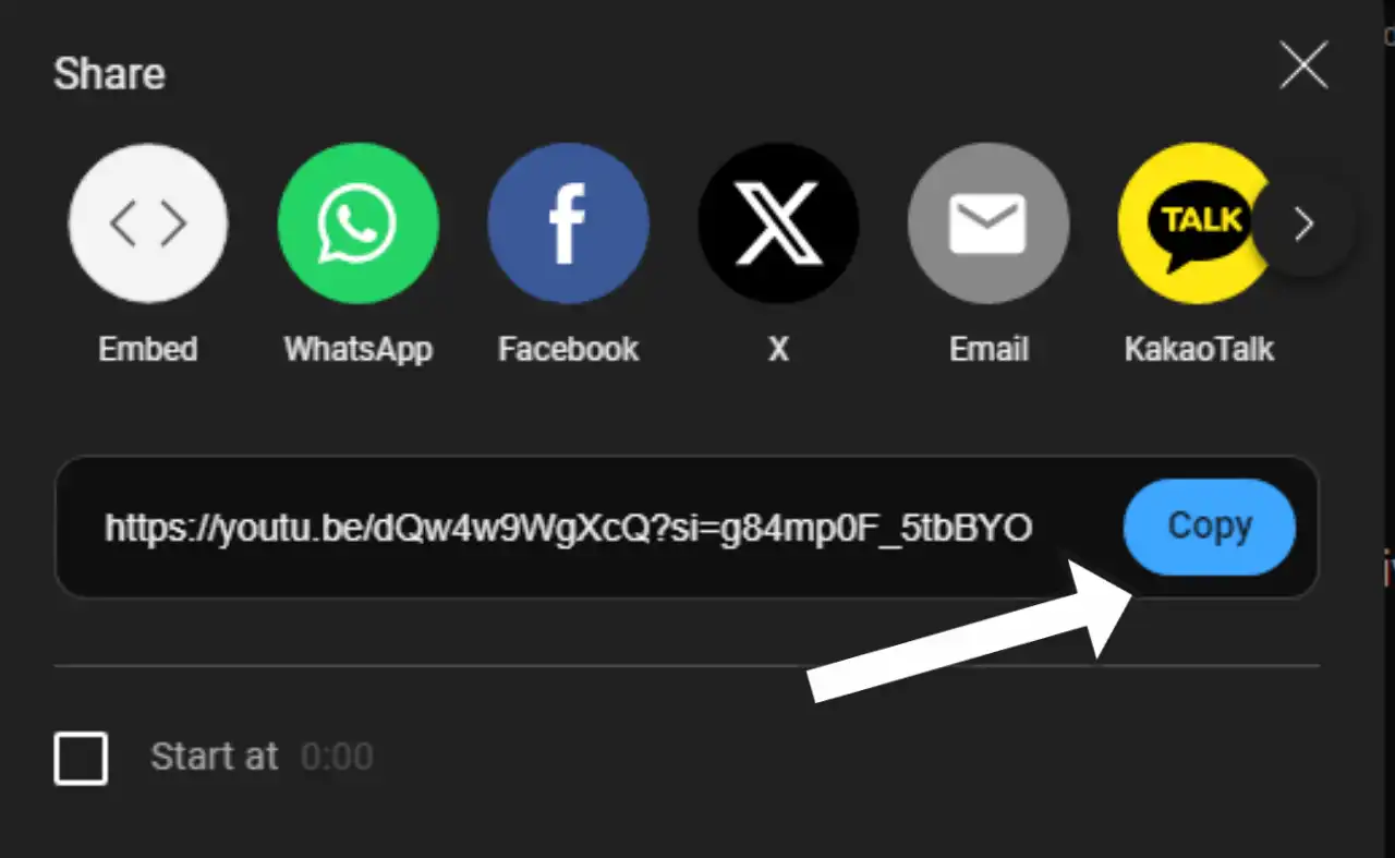 Copy YouTube URL on the web
